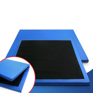Doormat Entry Disinfecting